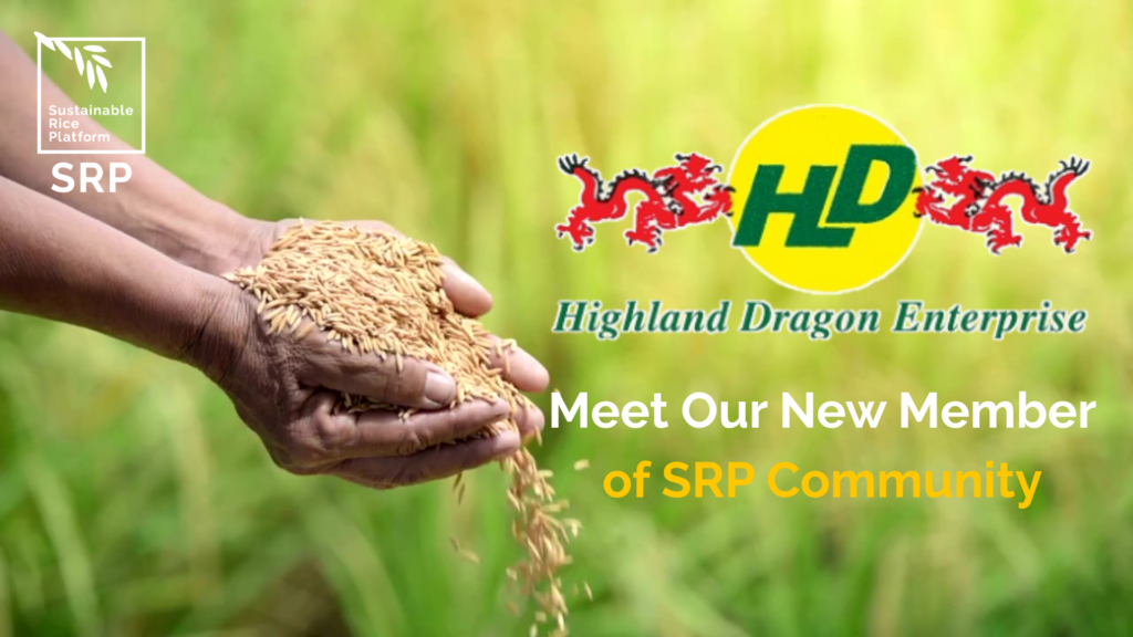 Sustainable Rice Platform (5)